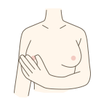 乳頭の画像