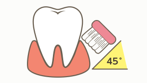 歯と歯ぐきの境に毛先を当てる画像