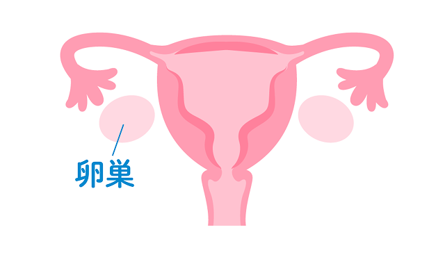 卵巣がん発症部位